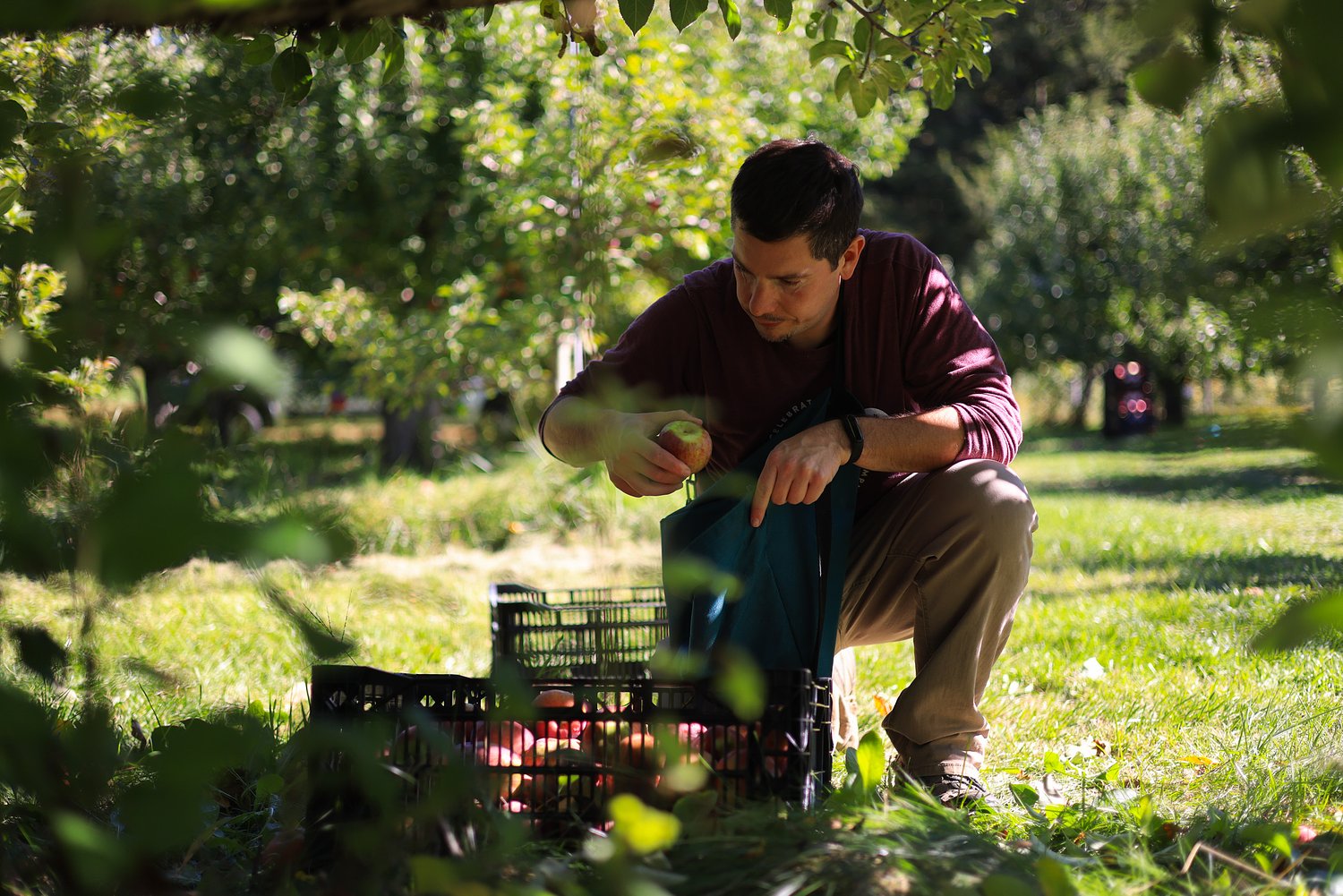 First Vermont Week of Gleaning spotlights Willing Hands' work fighting food waste & hunger