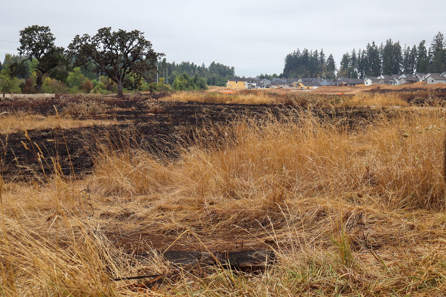 Workers cutting rebar ignited grass fire near Springfield subdivision 