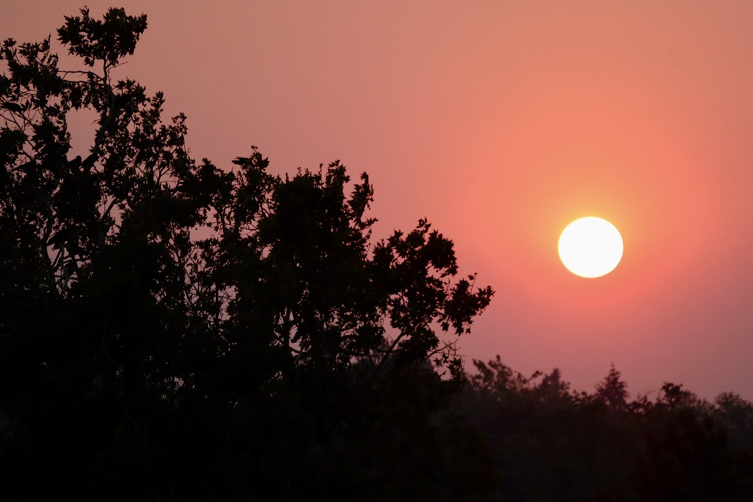 Eugene-area pediatrician shares how to protect, talk with kids about wildfire smoke