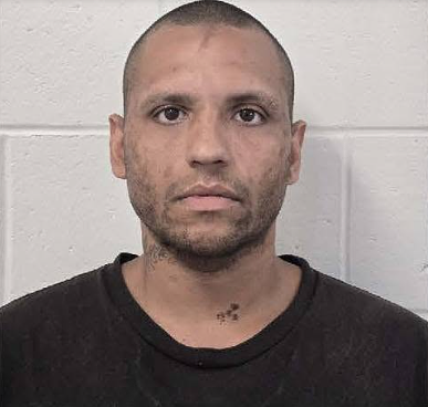 Wilton man faces felony cruelty to animals charge