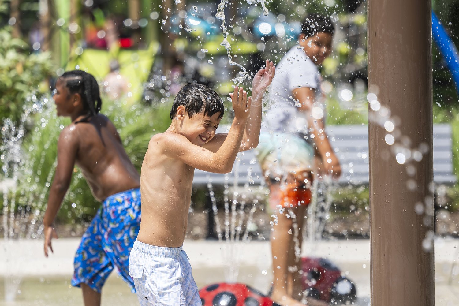 Hundreds cool off at Saginaw Township’s Haithco Park during heat wave