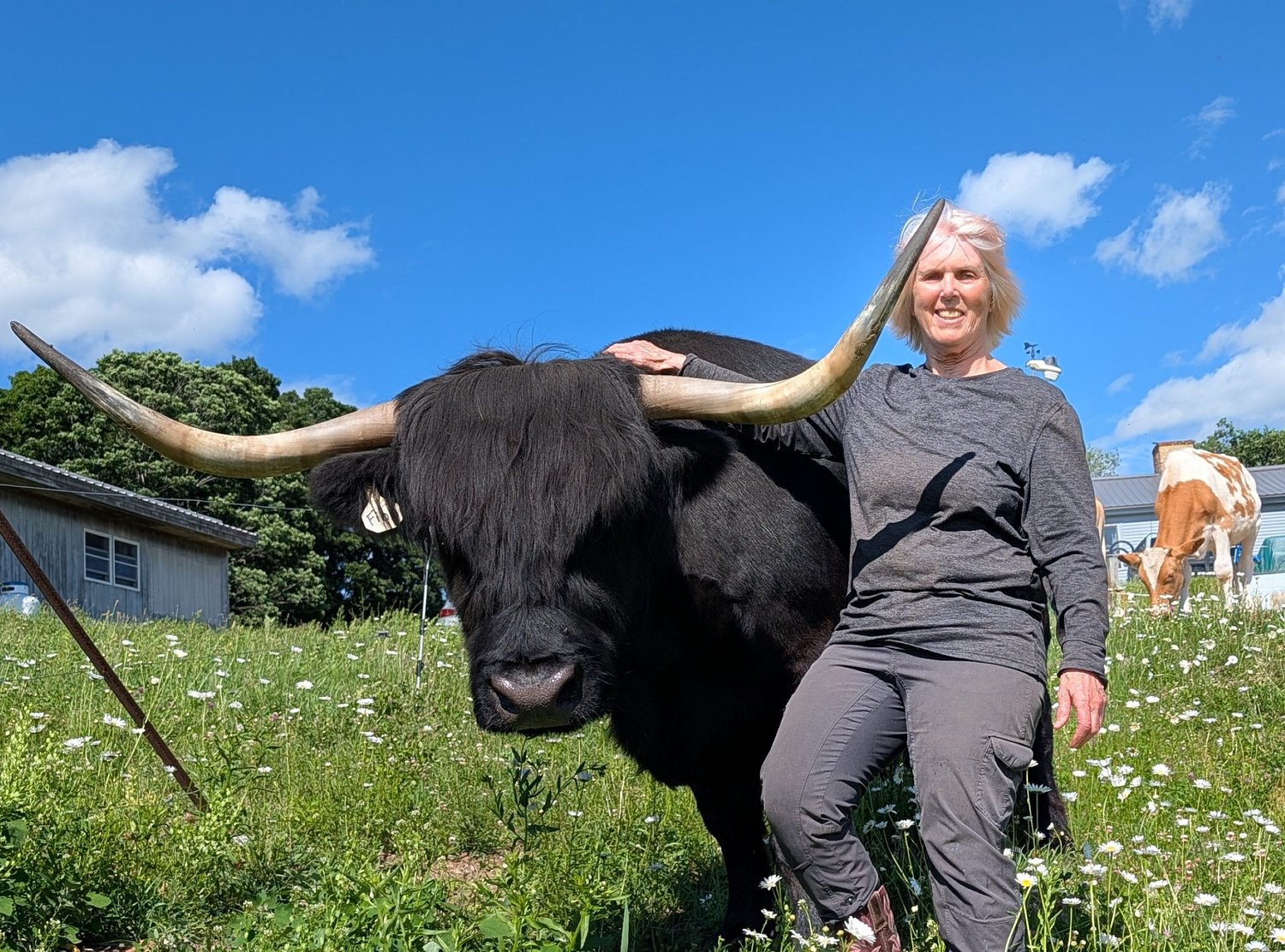 From the Farm: Therapeutic bovines