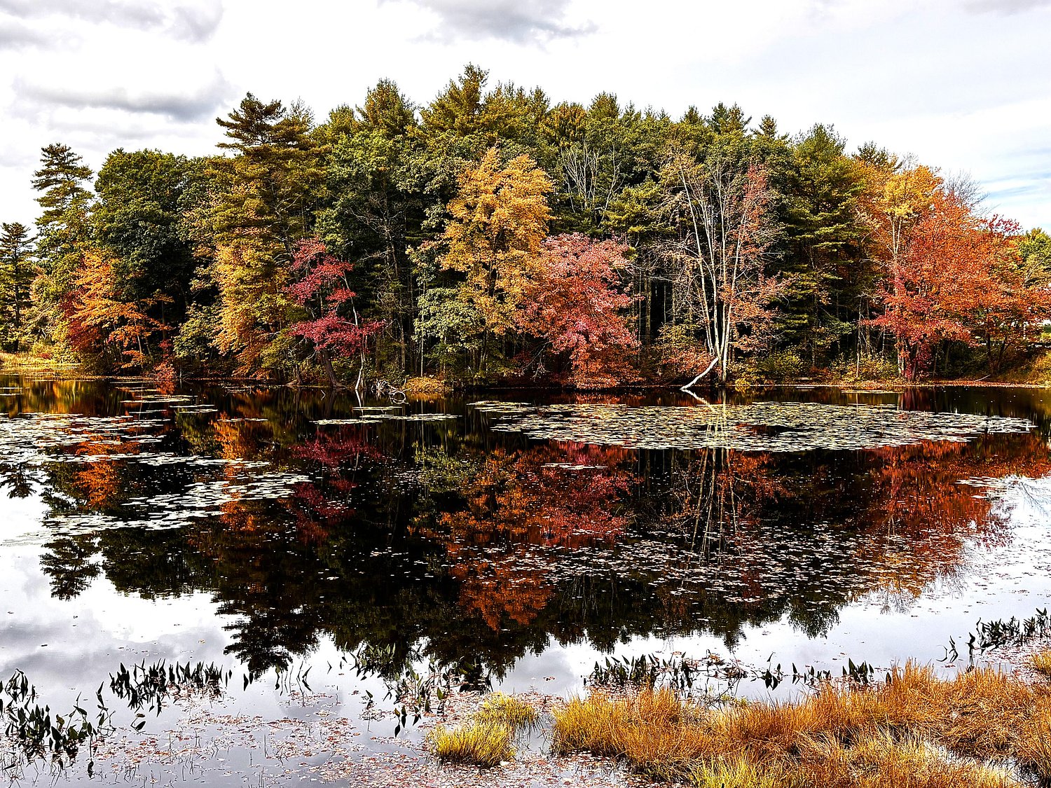 On a scale of 1 to 10, this year's foliage season is...