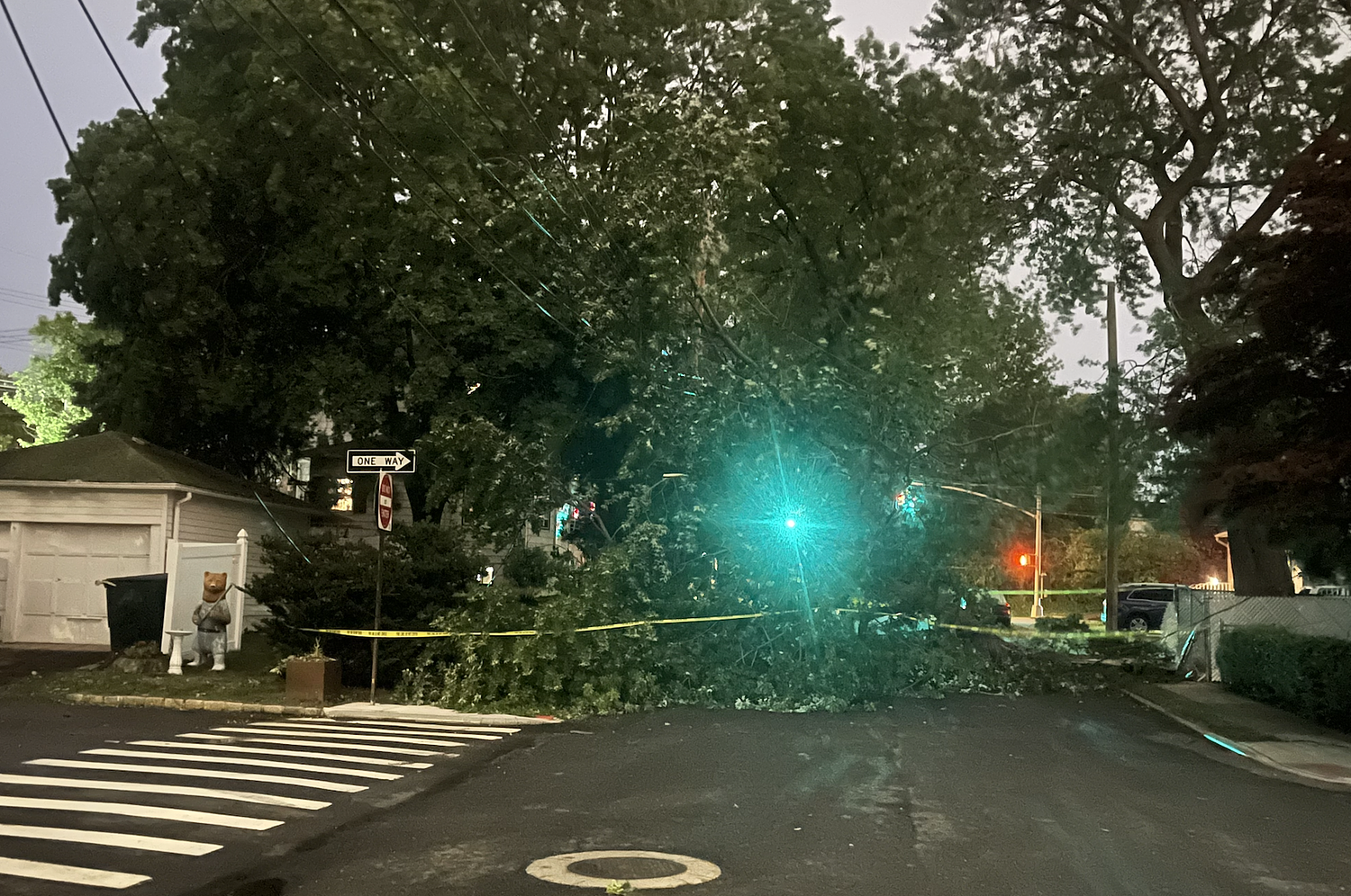 Overturned vehicle on Verrazzano, downed trees on railway as wind gusts pummel Staten Island