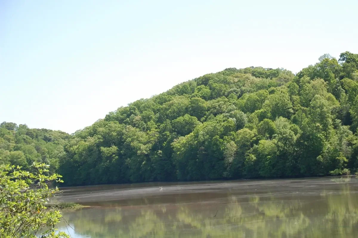Sandy Springs Conservancy updates on proposed trails, park improvements, grants