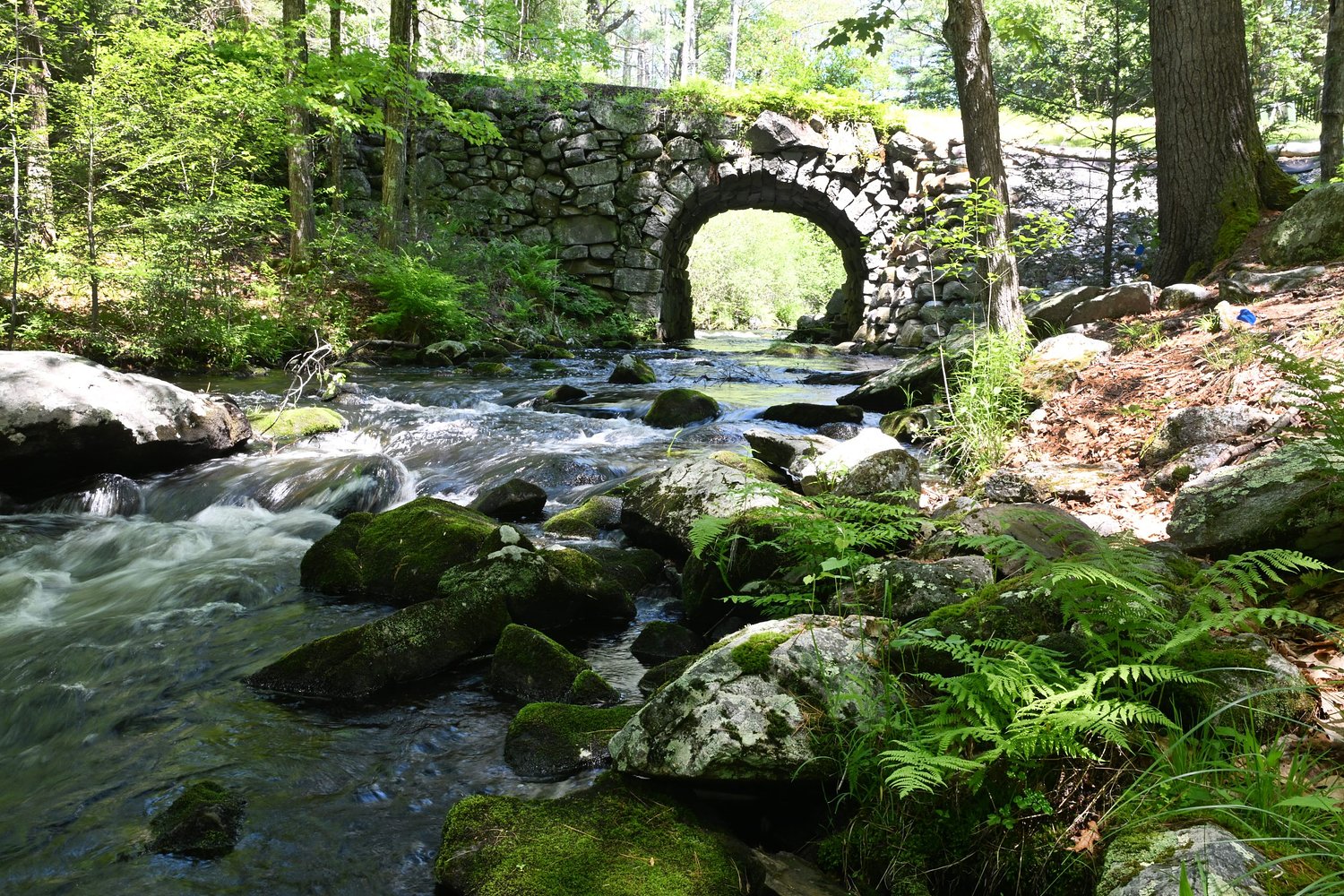 Friends of Quabbin to celebrate stabilization of Keystone Bridge