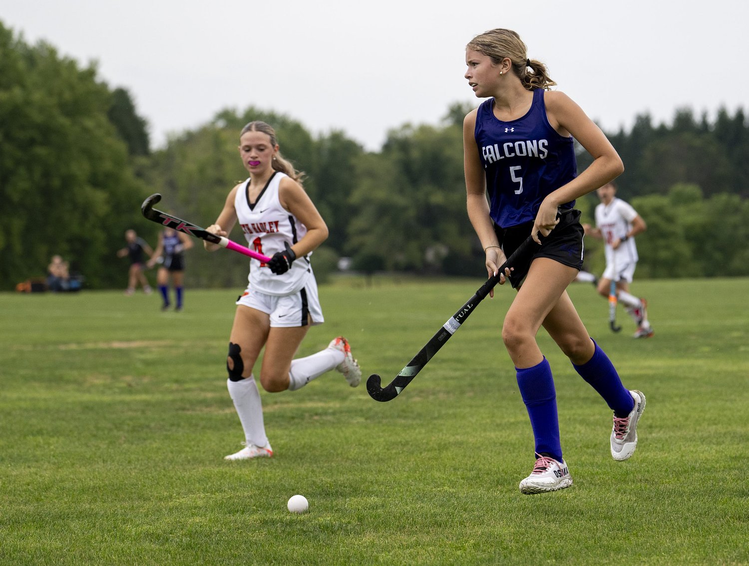 H.S. field hockey preview: Area teams ready for action in 2026