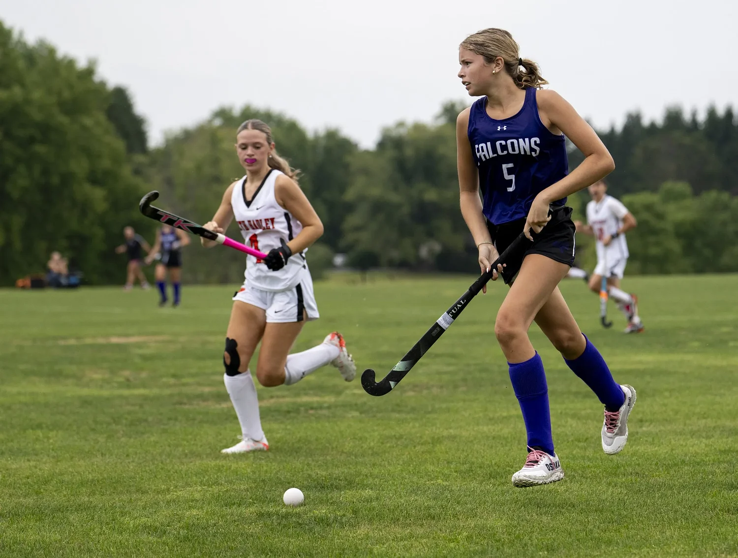 H.S. field hockey preview: Area teams ready for action in 2026