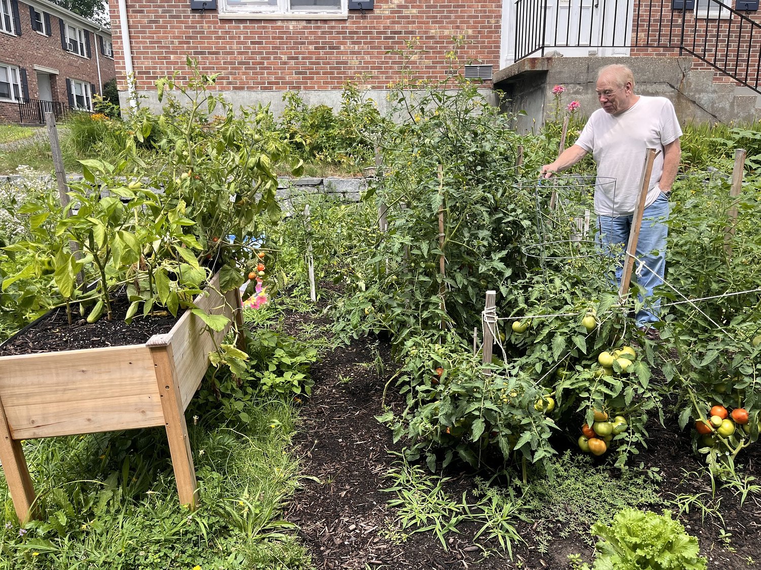 Growing community in the local food system: How Grow Food Northampton brings fresh produce and connection to public housing
