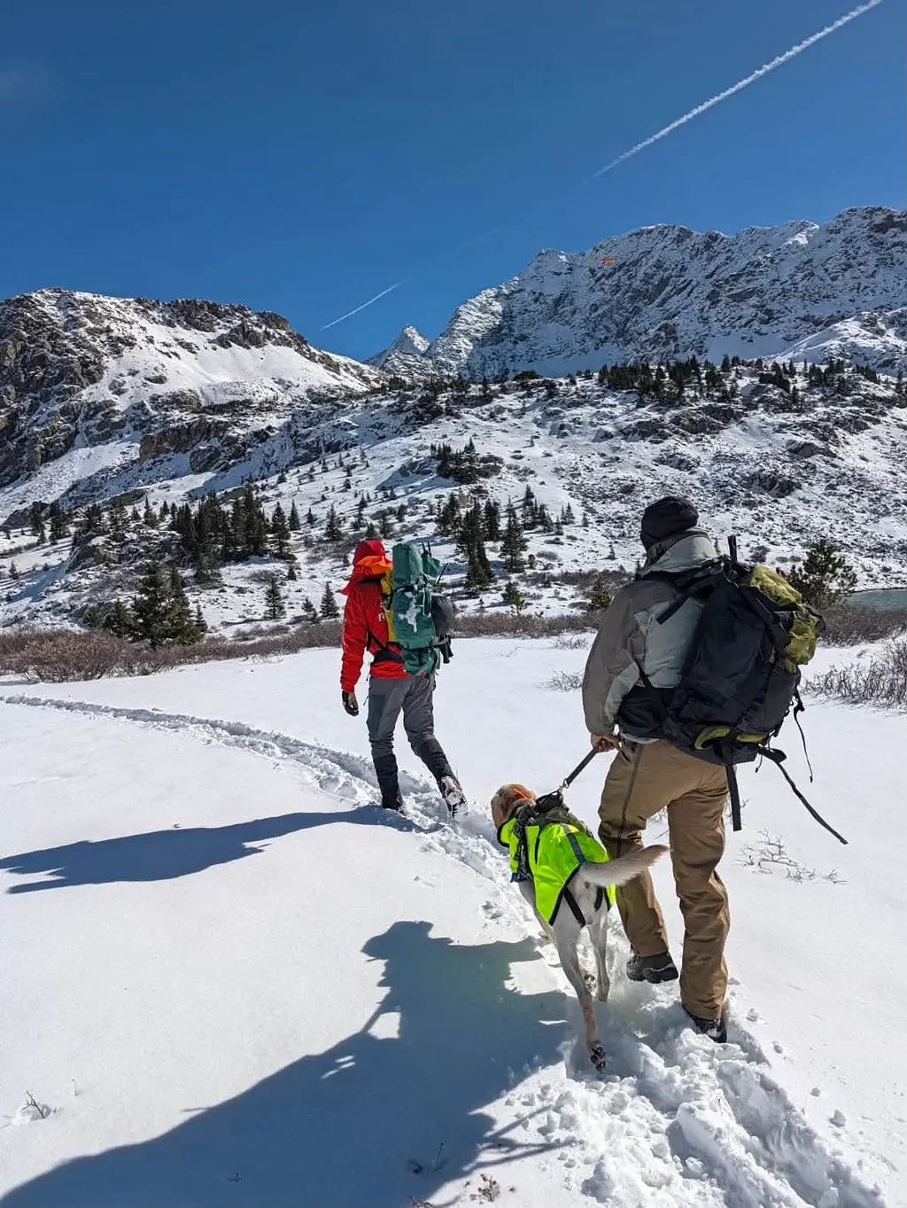 2 college students found dead after going missing during Colorado hike