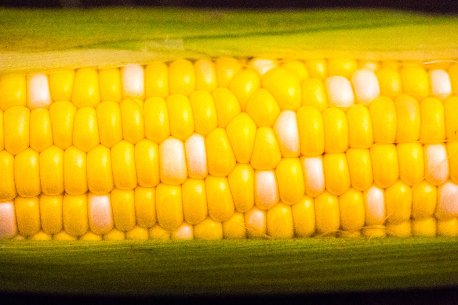 Former Roanoke College president: How to avoid falling into 'the corn trap'