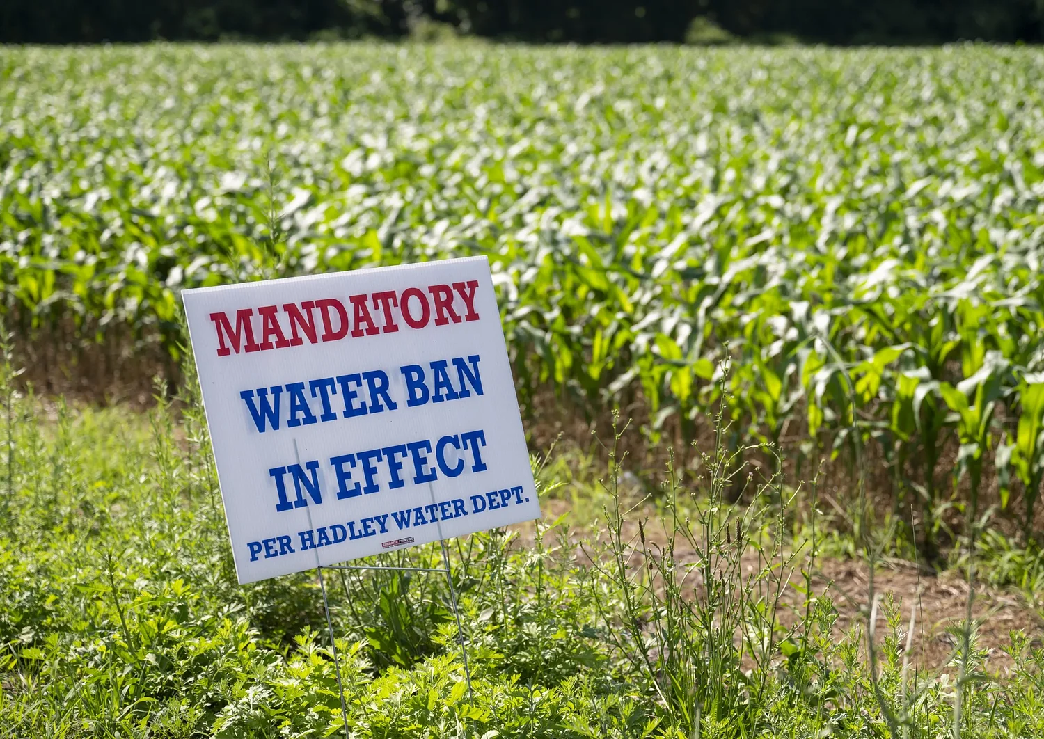 The drought you can't see: Behind another summer of water restrictions is a drought measured below the surface