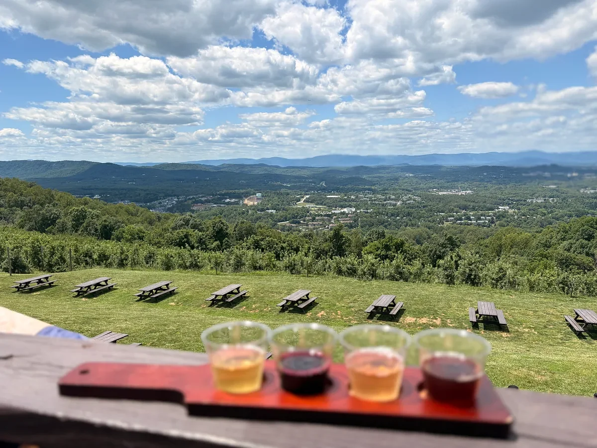 Soft life in Charlottesville, VA: polo, wineries, Black-owne...