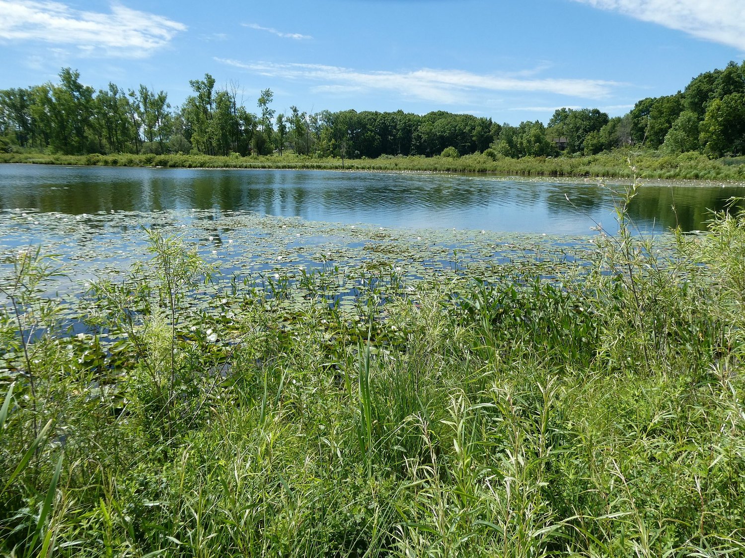 Land in U.P., Beaver Island and along Lake Michigan up for auction by DNR