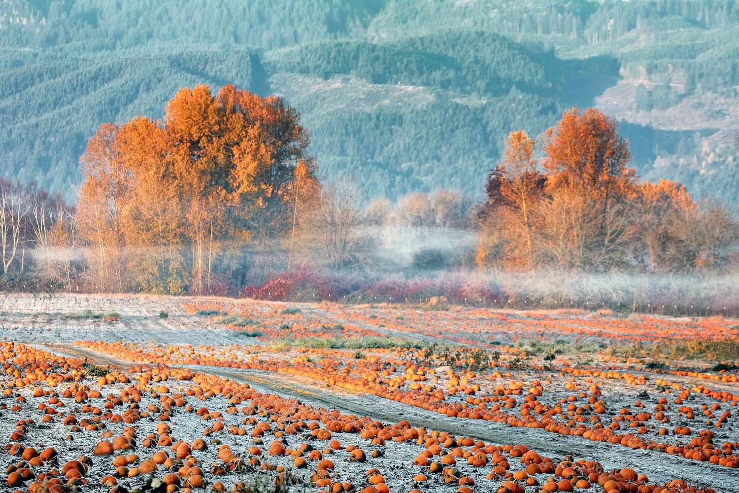 Could Portland see a frosty Halloween?