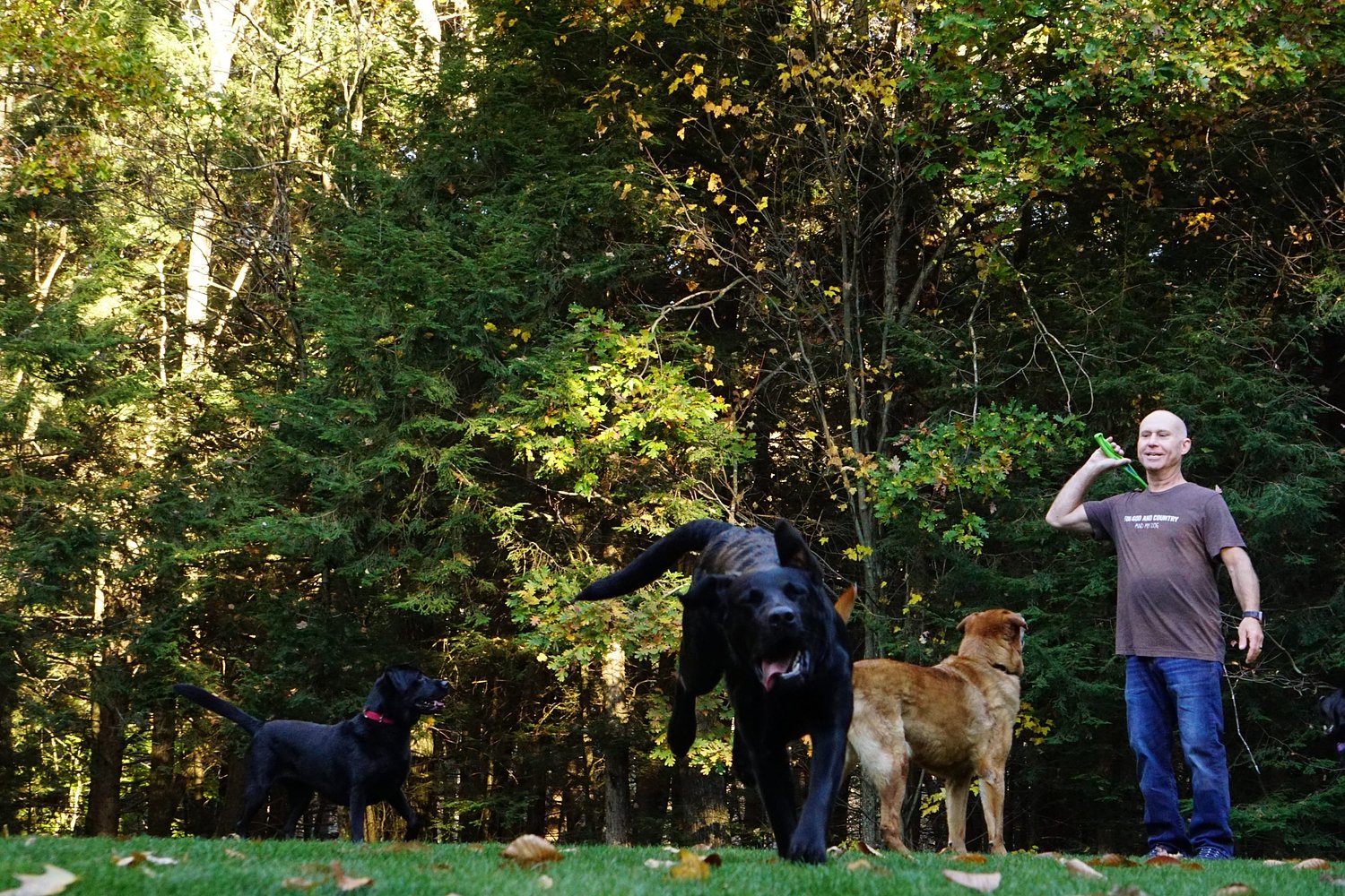 A six-year property dispute pits neighbors against West End Farm Trail users