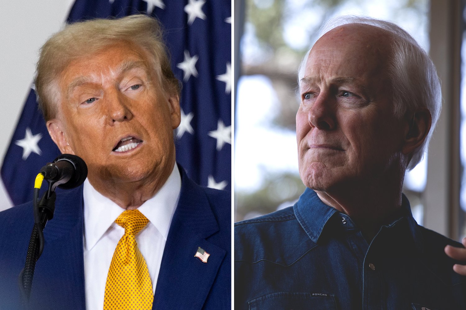 Trump says John Cornyn and Karl Rove to blame if Ken Paxton loses Senate race