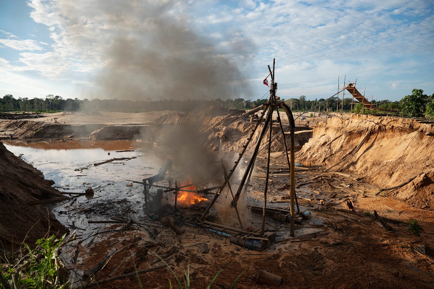 Interpol crackdown on illegal mining, logging and wildlife trafficking leads to 233 arrests