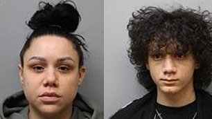 Wethersfield mother and son lied after trying to surrender severely neglected dog, warrant shows