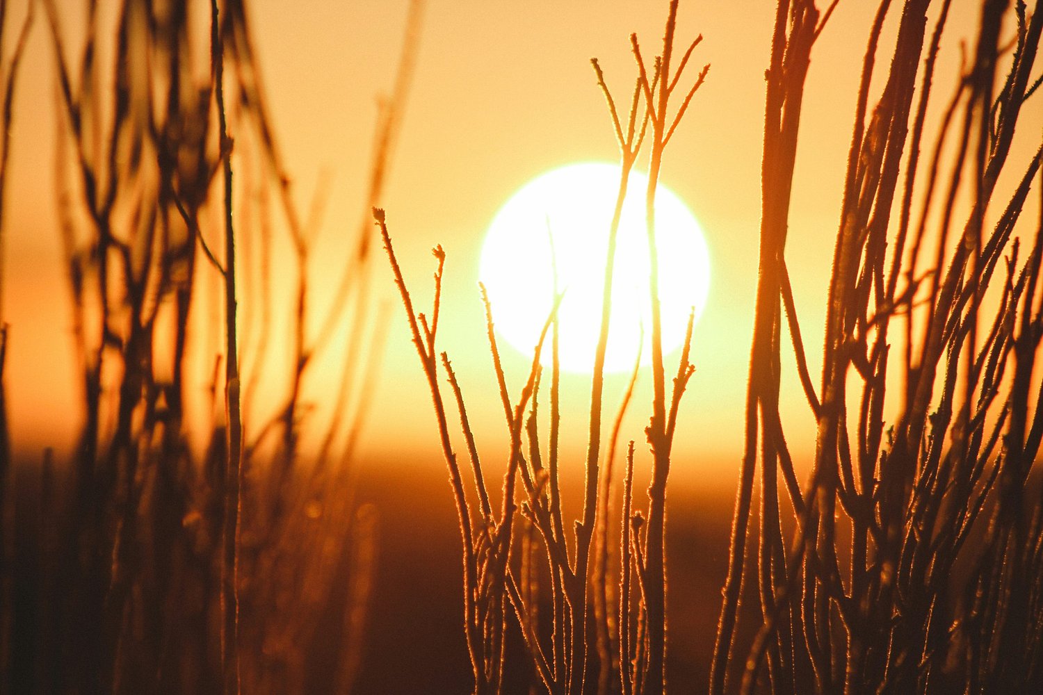 Federal utility assistance funding exhausted amid heatwave