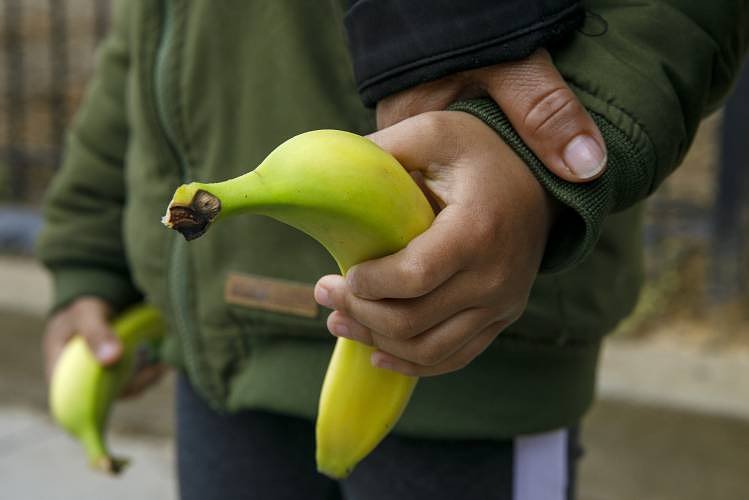 Report: N.H. childhood food insecurity rose for third year in a row