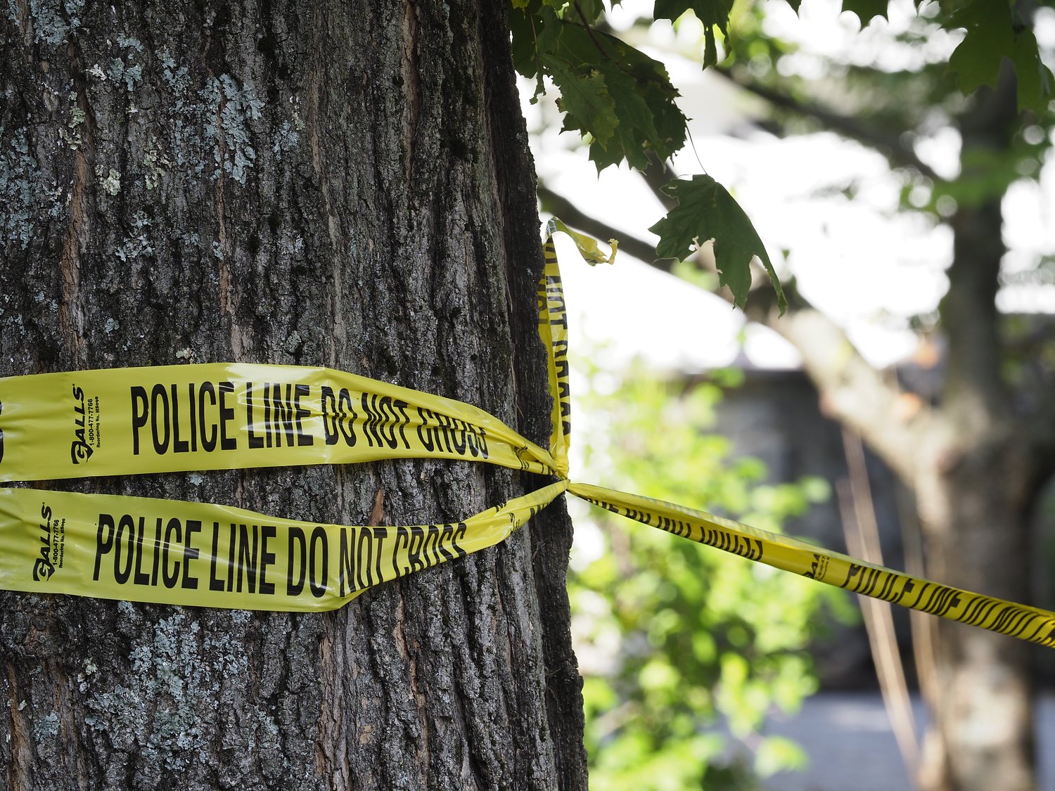Missing N.J. man found dead in wooded area, investigators say