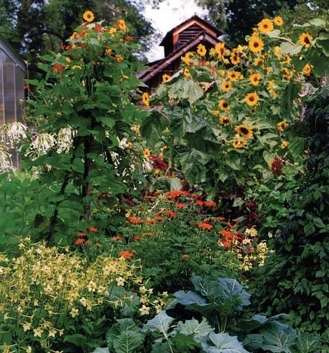 Garden Notes: Aug. 12, 2026
