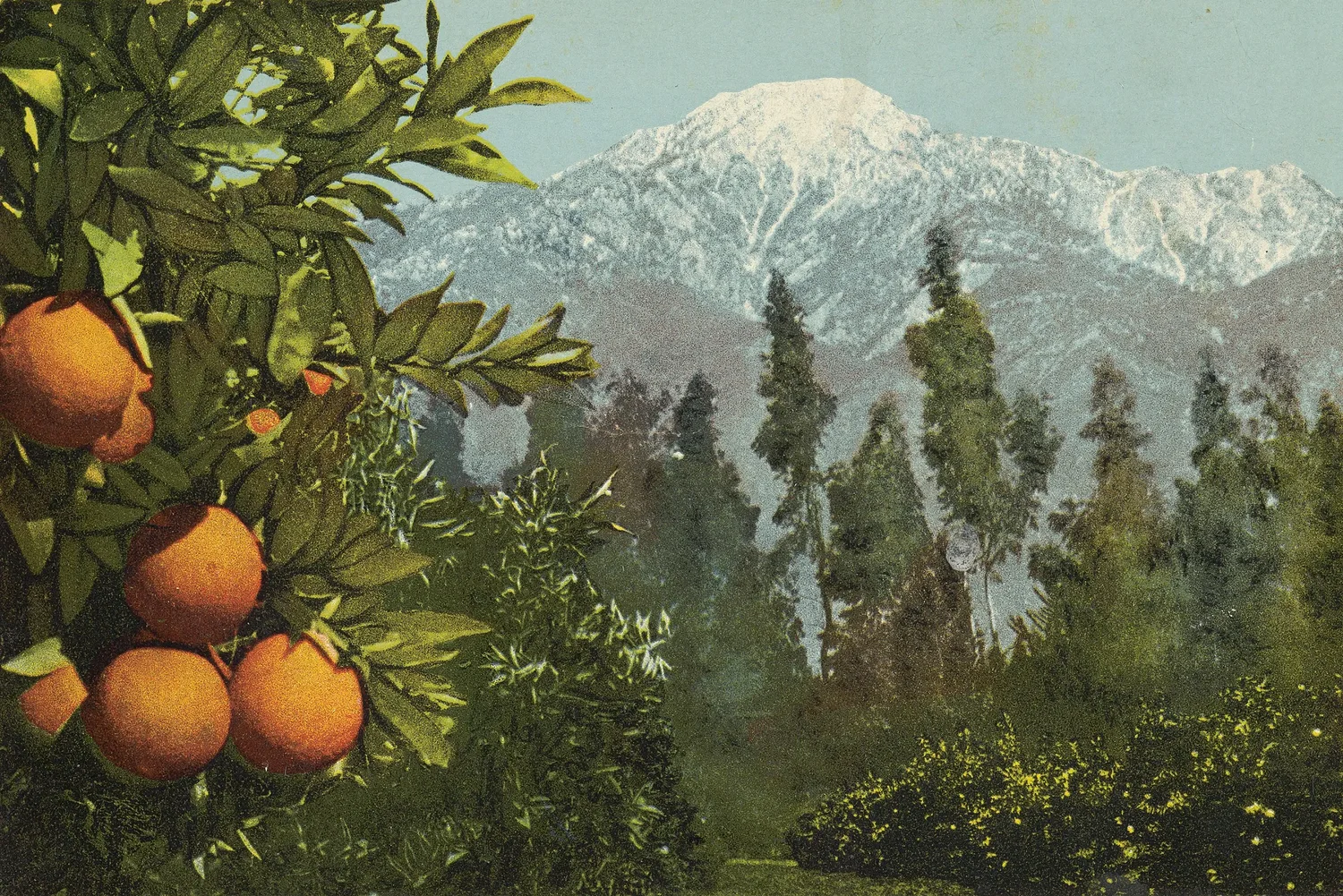 The California Dream Has Always Warned of Its Own Demise