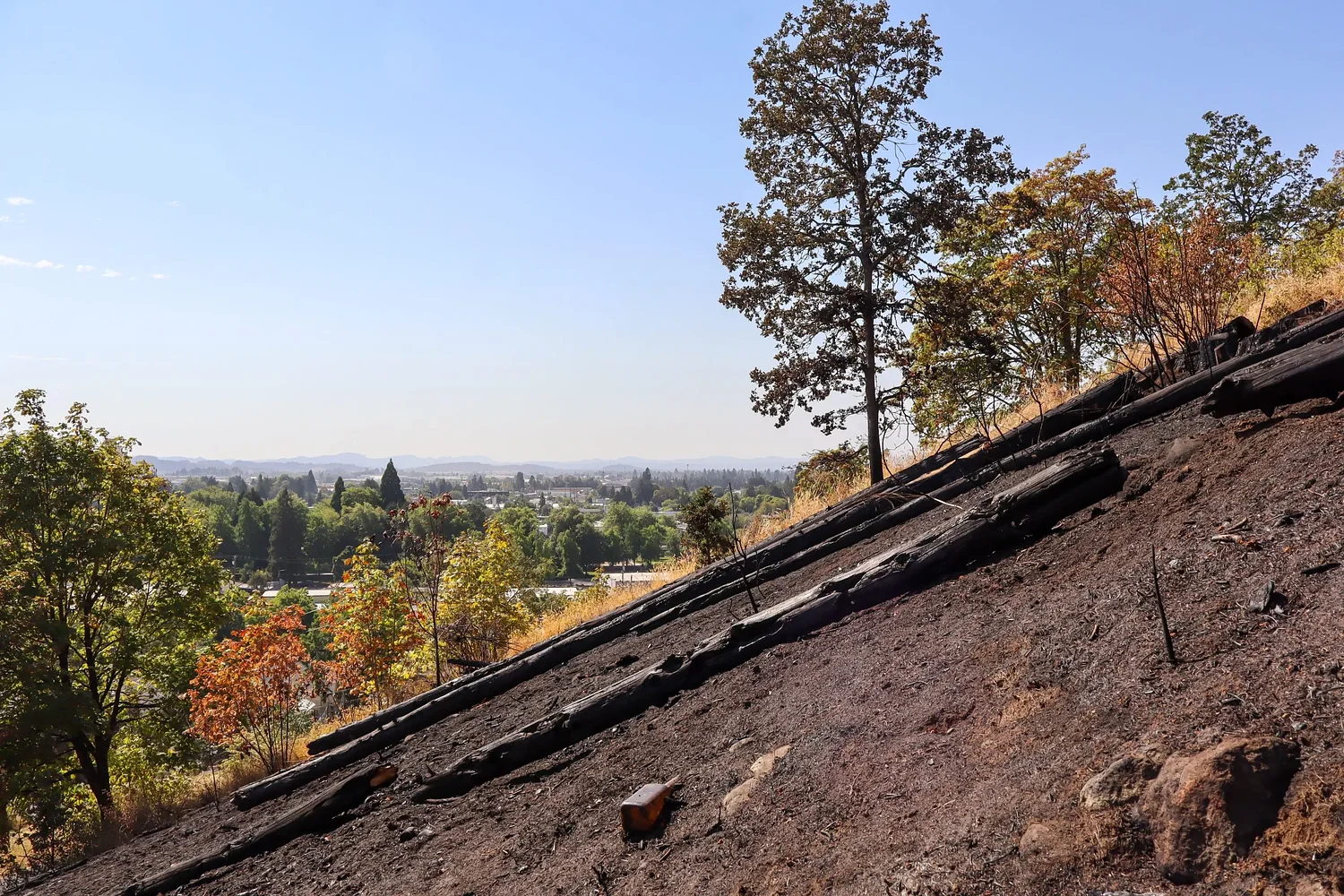 Lane County spared from large blazes but still feeling the heat