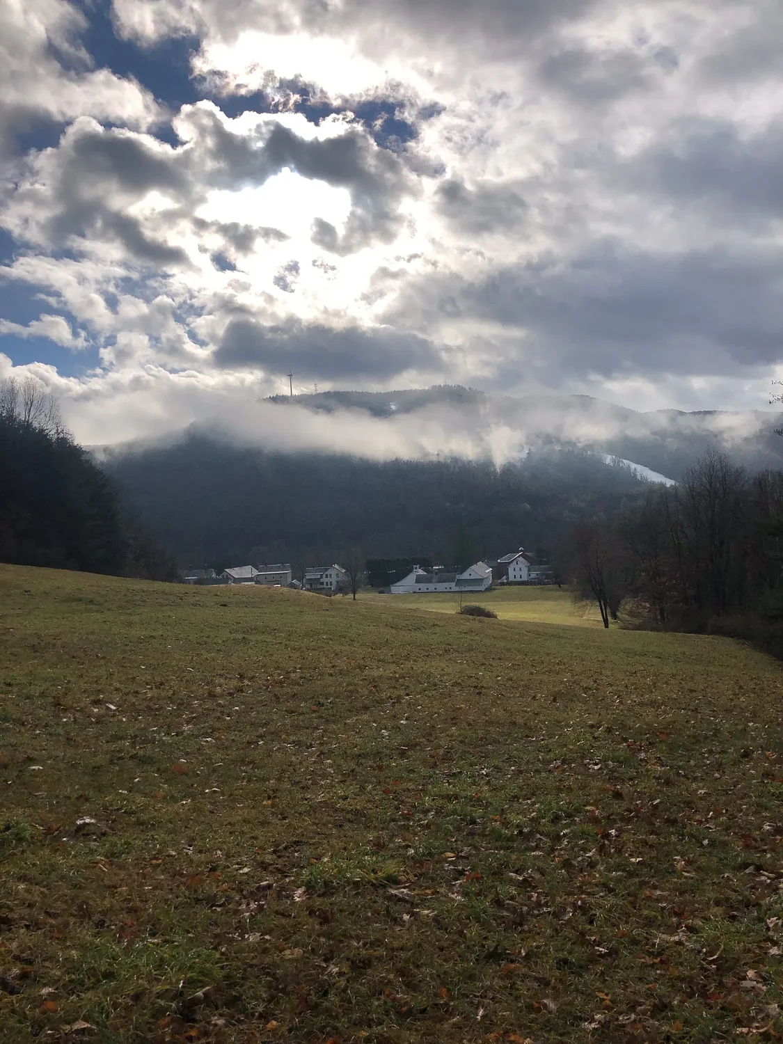 Franklin Land Trust protects nearly 39 acres in Charlemont from development
