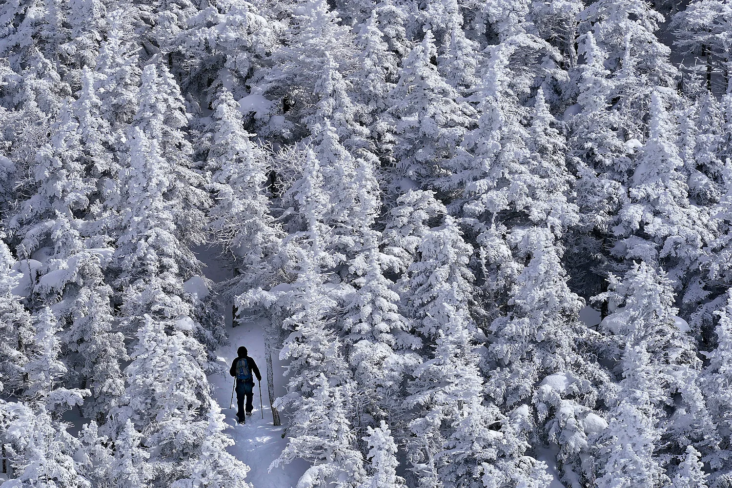 NH Fish and Game rescues two hikers from Mount Lafayette early Saturday morning
