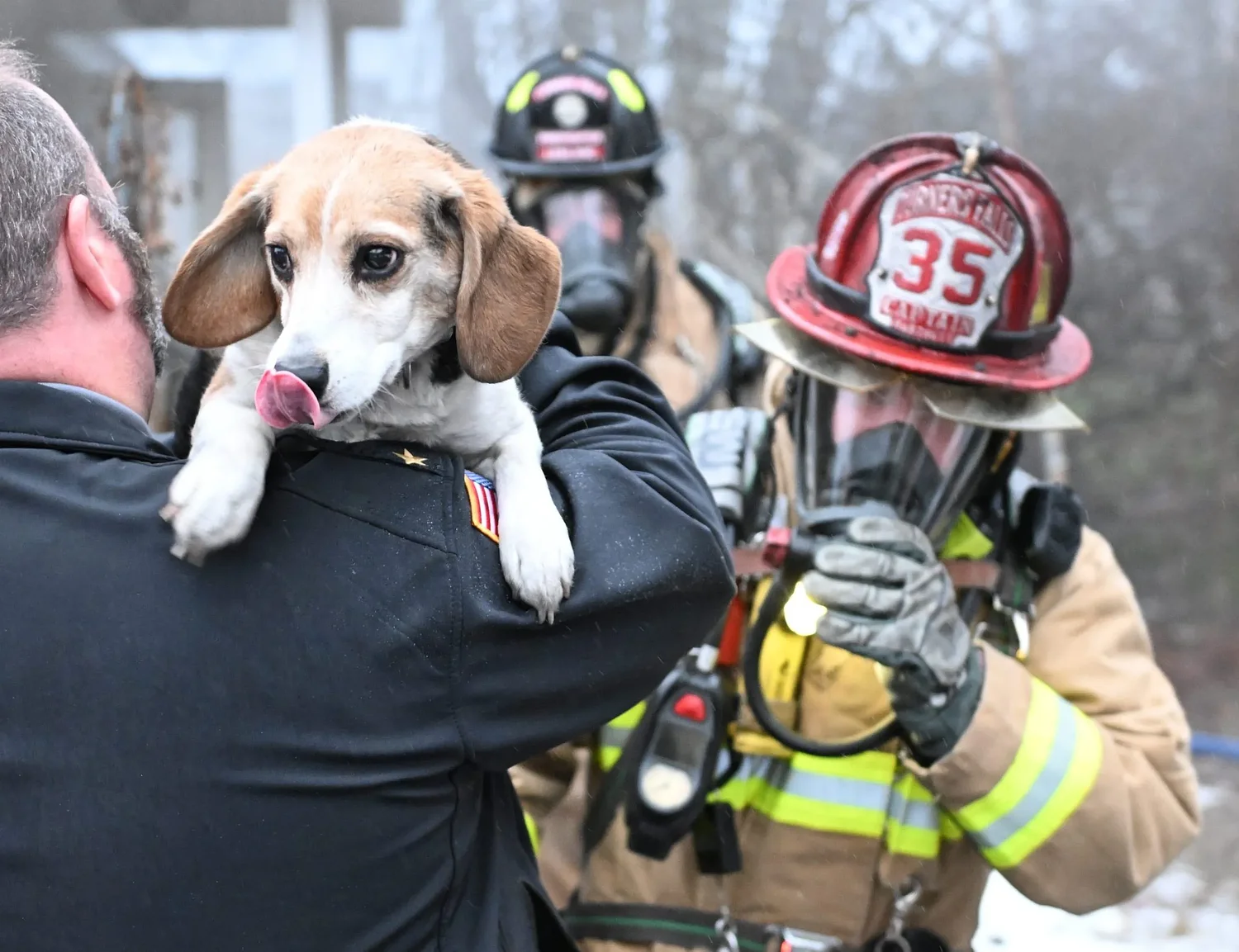 Turners Falls kitchen fire quickly extinguished