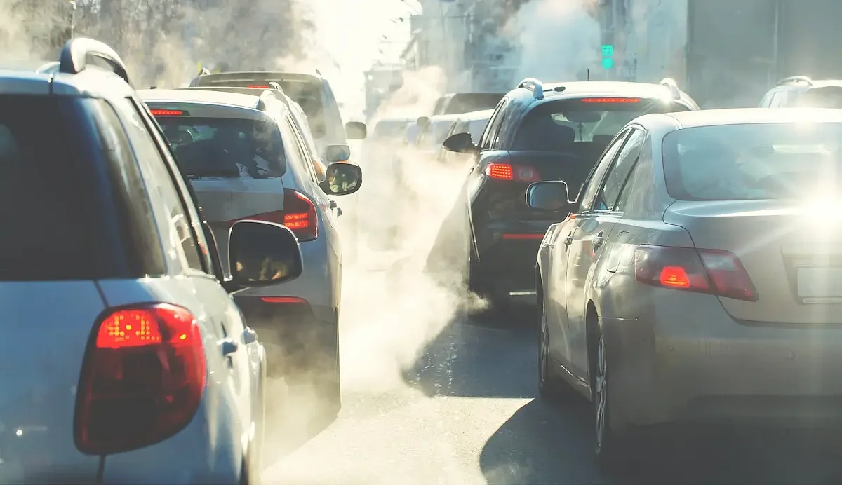Even low levels of traffic air pollution can damage the liver, new study shows