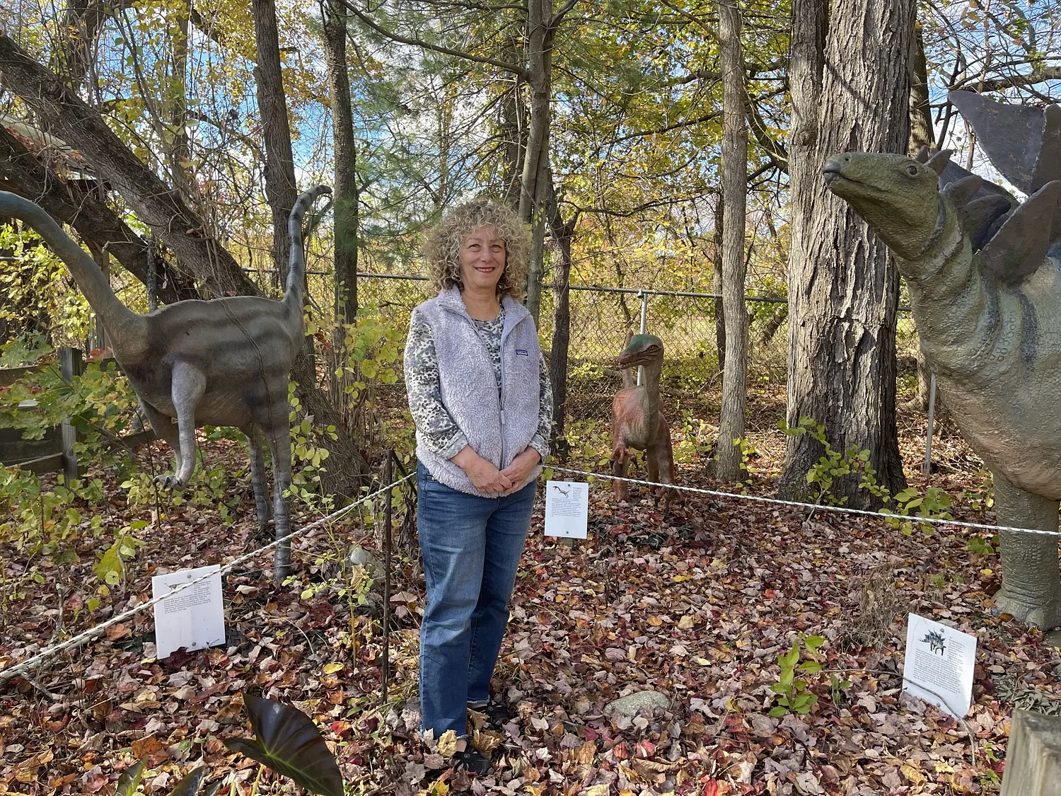 South Deerfield’s Rock Fossil and Dinosaur Shop seeks new owners to ‘keep the torch burning’