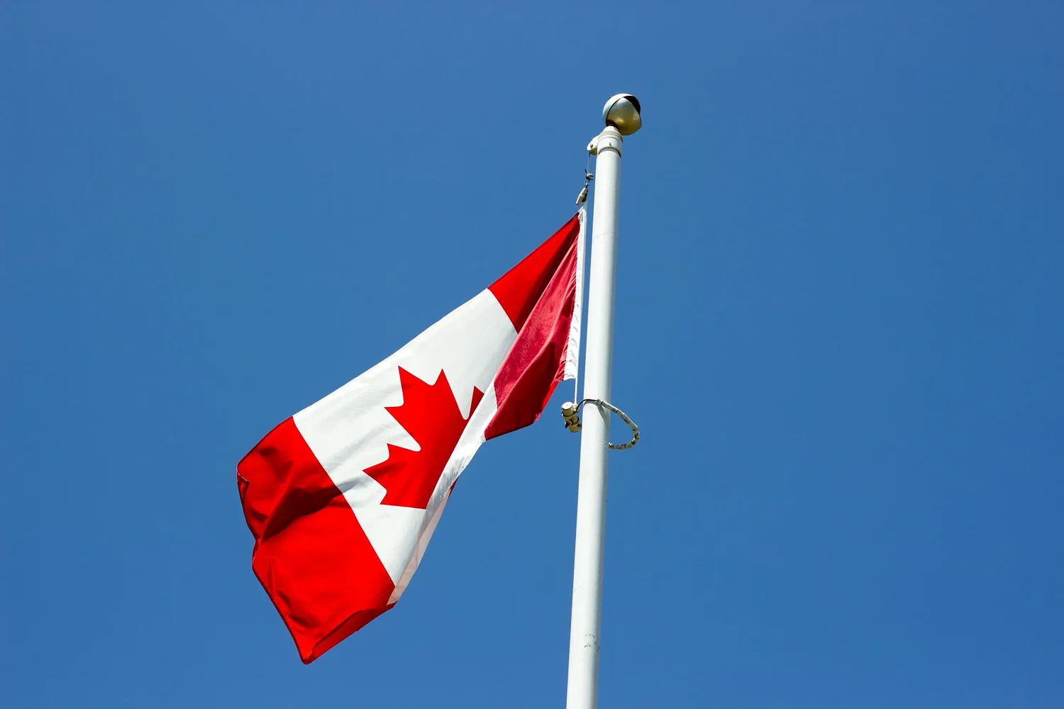 Canadians fly the maple leaf to protest Trump tariffs and annexation threats