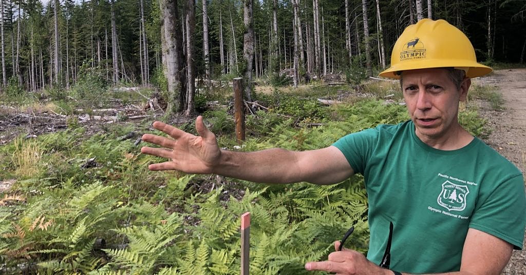 The Forest Service is experimenting with relocating tree species to save them from climate change