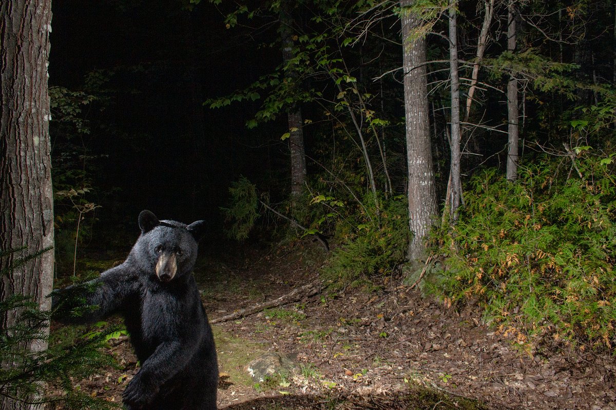 Morning Update: What you need to know in Maine today