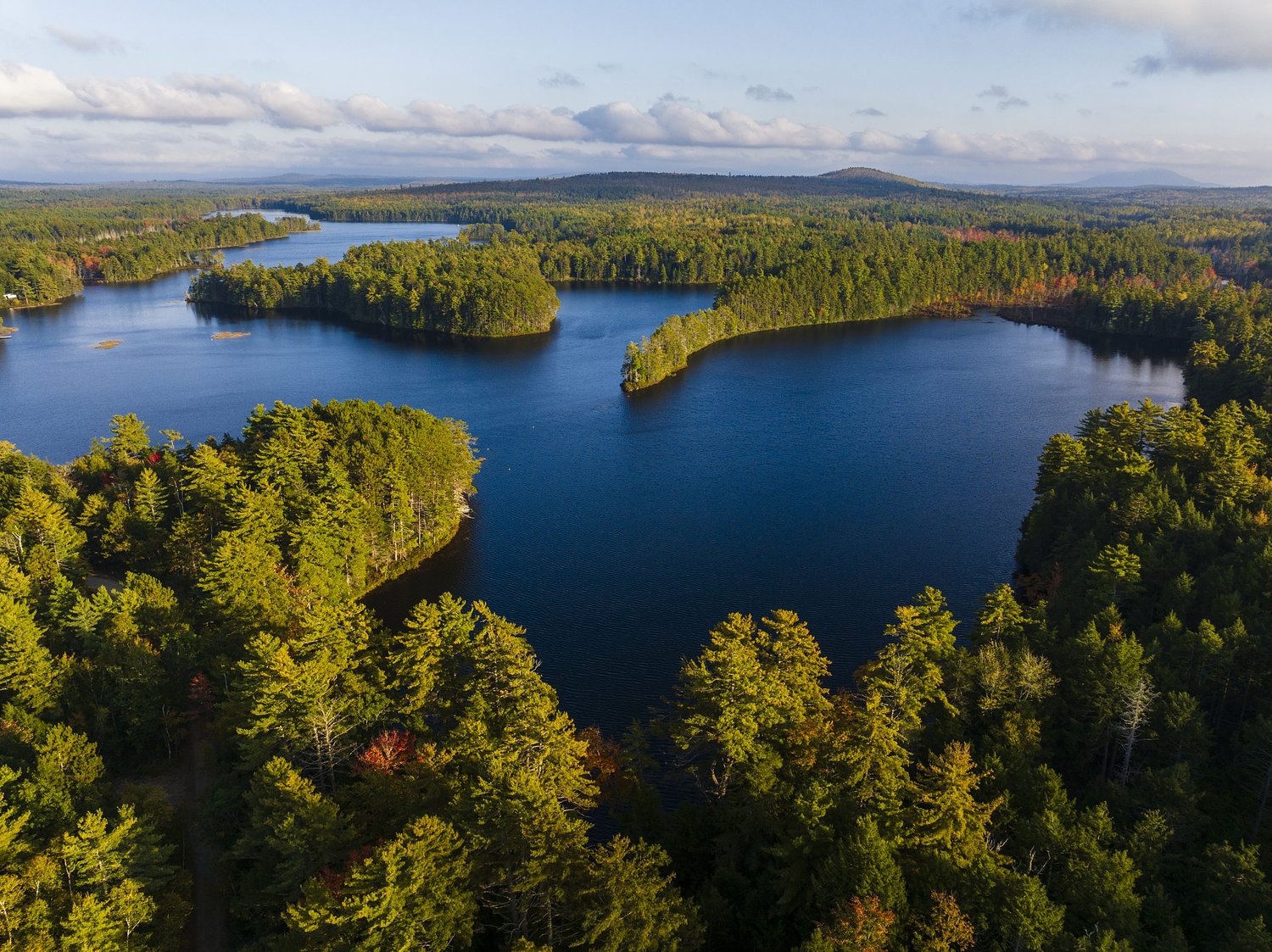 Something for everyone in Maine's Forests