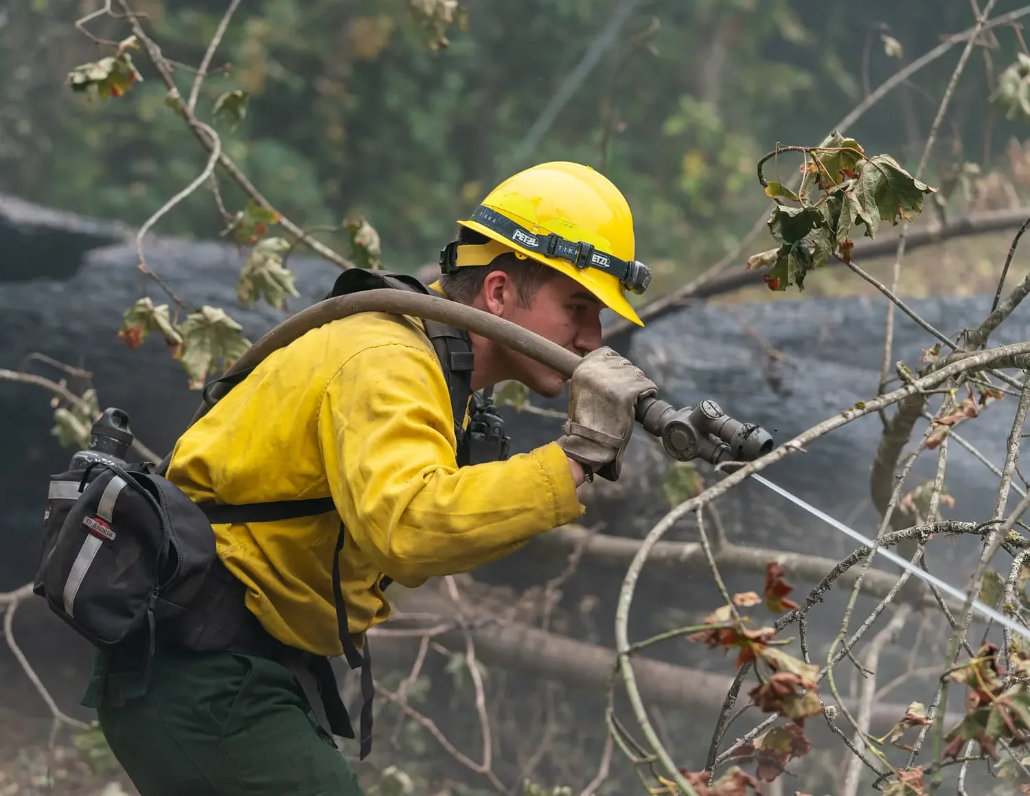 Trump 'playing with fire,' Merkley warns over Forest Service cuts 