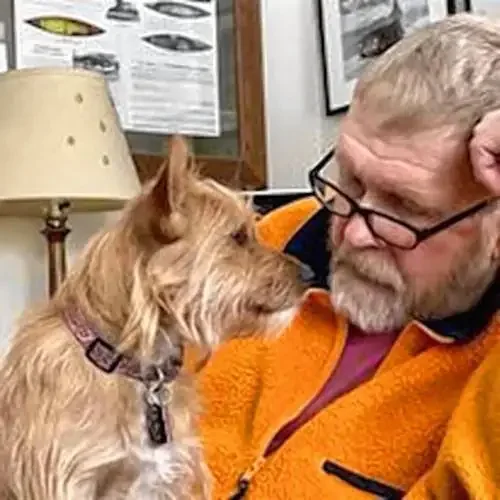 A Yankee Notebook: A terrier's keen senses