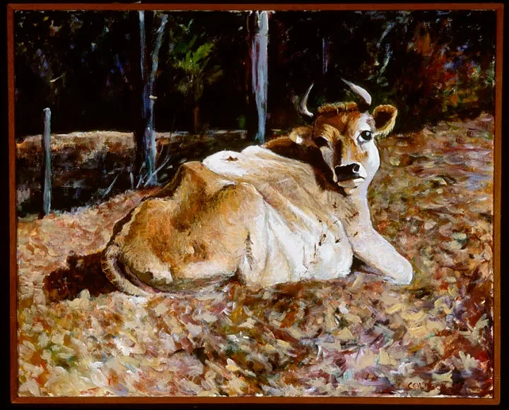 A Solitary Walker: A naturalist's perspective on who owns the land