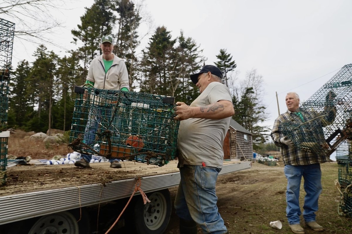 Fishermen have recycled thousands of old lobster traps on Vinalhaven this winter