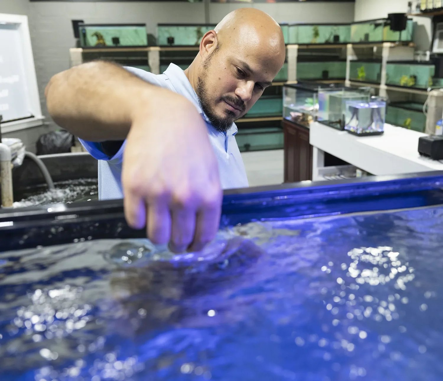 Making a splash: Miguel’s Fish & Aquatic Maintenance opens in South Hadley