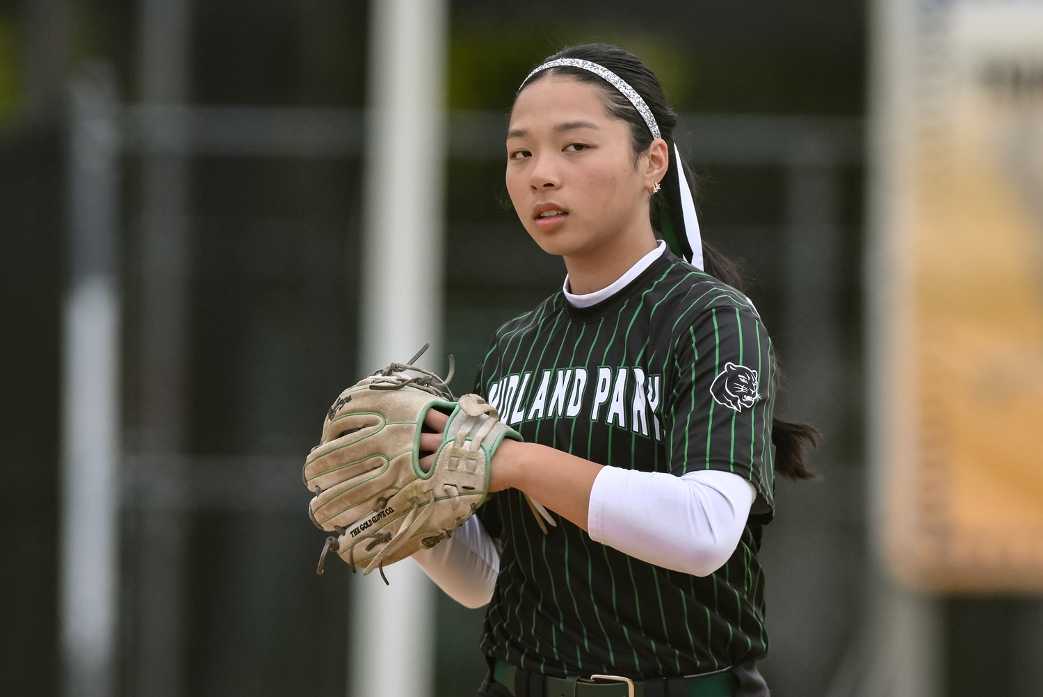 North Jersey Interscholastic Conference softball all-stars, 2026