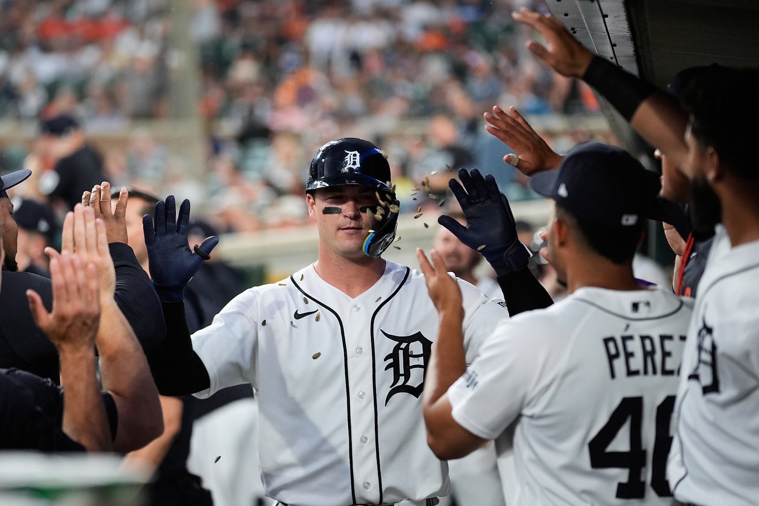 Detroit Tigers lineup: Day off for Dillon Dingler on Saturday