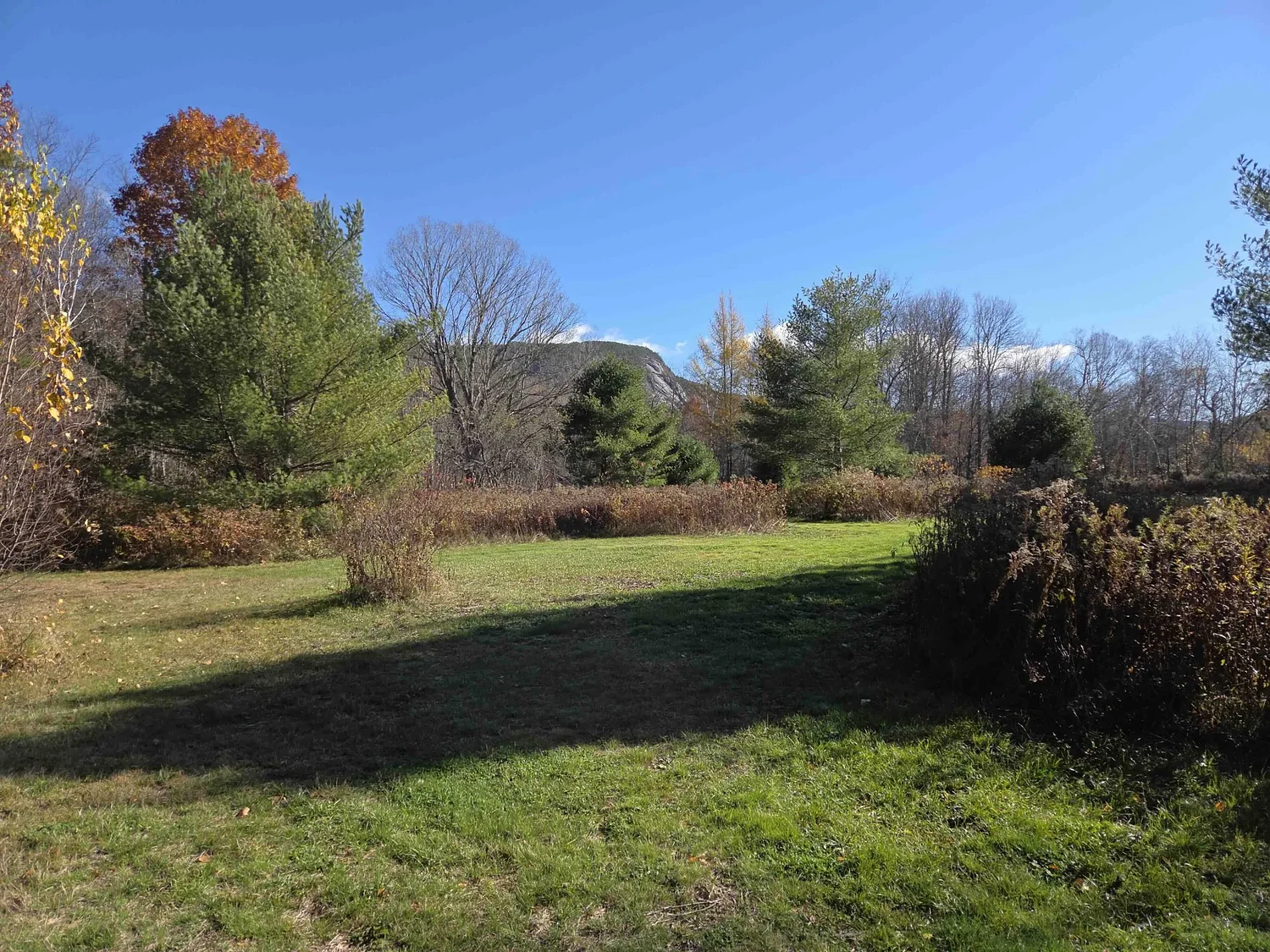 A last act of care for the Earth: State's first natural burial ground opens in White Mountains