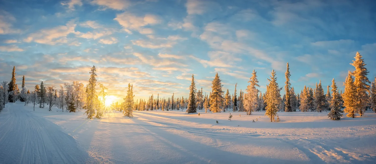 Shine a light on vitamin D