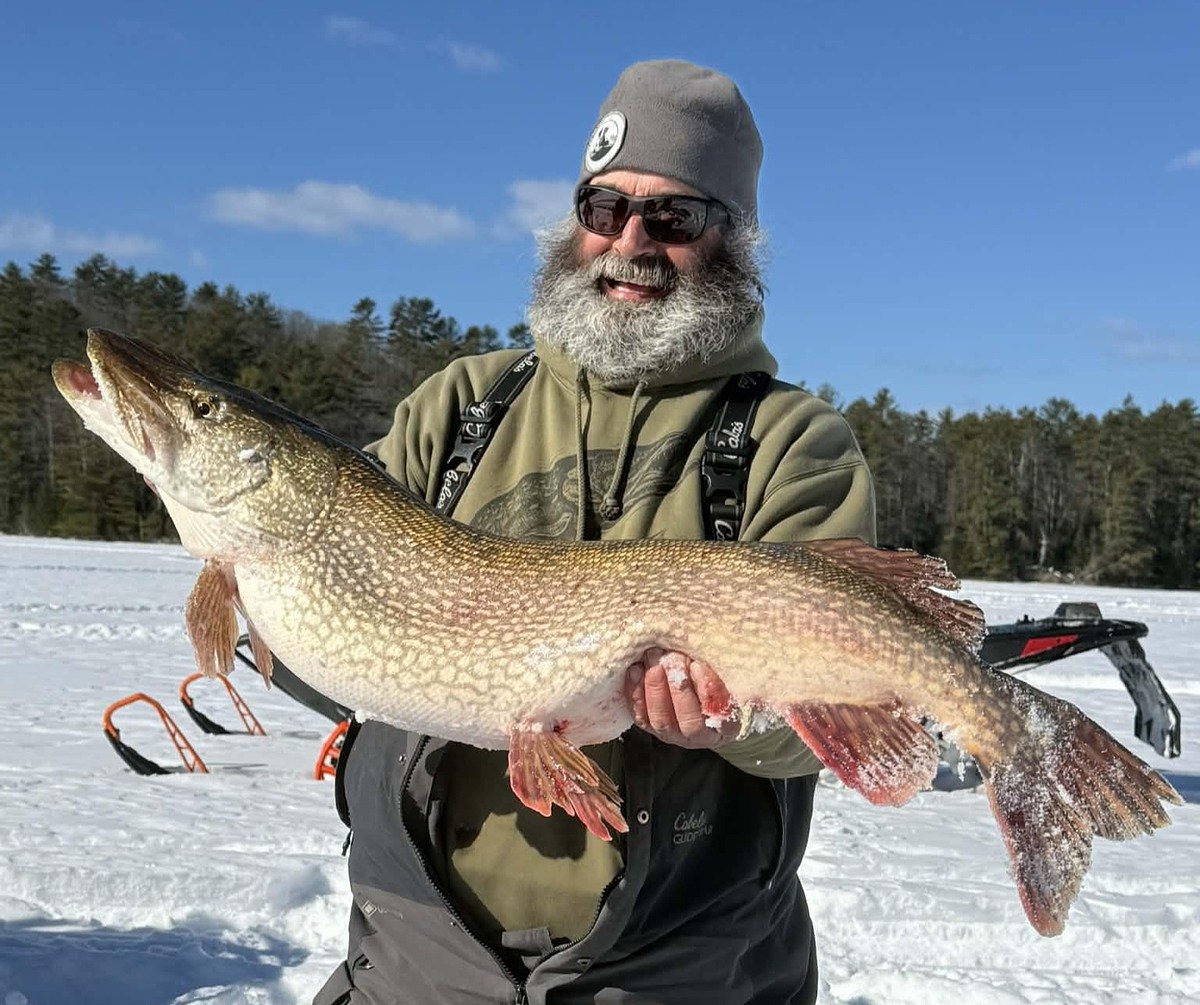 ‘River Monster’ lands 41-inch pike on the Androscoggin  