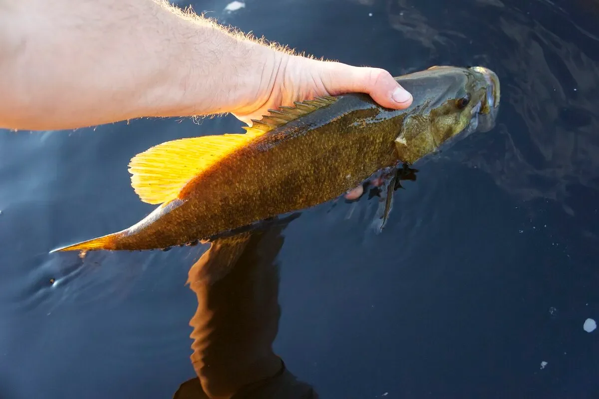 That one time I took legend Bill Green fishing on a Maine river