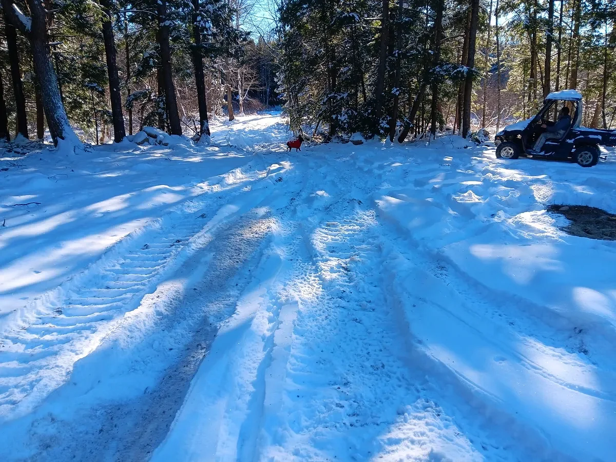Maine DEP sues Milford property owner for blocking a stream to build a driveway